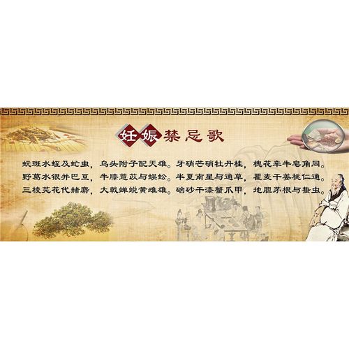妊娠禁忌歌 中医文化挂图中的生命守护智慧